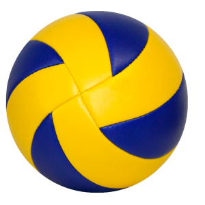 VENEZ ESSAYER LE VOLLEY…